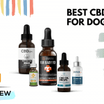 Best CBD Oils & cbd treats for dogs [updated for 2022]: treat your pet with CBD