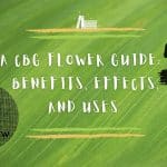 CBG Flower benefits, effects and uses