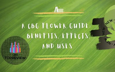 CBG Flower benefits, effects and uses