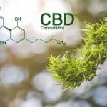 7 Plants to improve the effect of CBD