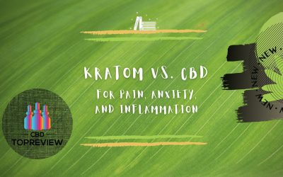 Kratom vs CBD for pain, anxiety