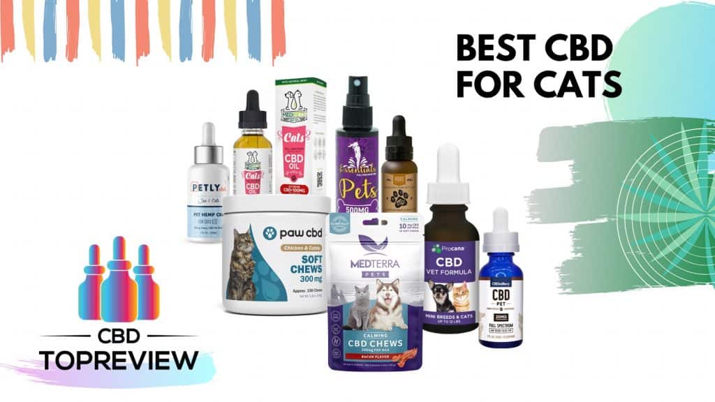 Best CBD for cats