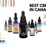Best CBD Oils in Canada