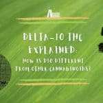 Delta-10 THC Explained: how is Delta-10 different from other cannabinoids?
