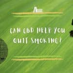 Can CBD Help You Quit Smoking?