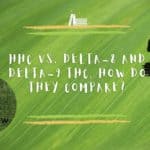 HHC vs. Delta-8 and Delta-9 THC, How Do They Compare?