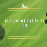 All about Delta 11 THC