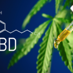 Discover the Benefits of Cbd for Your Hair: Top 5 Cbd Hair Products to Try