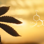 Cbd Non-psychoactive: Uncovering the Health Benefits and Myths