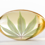 Cbd in Medical Terms: Understanding Cannabidiol's Impact on Health and Wellness.